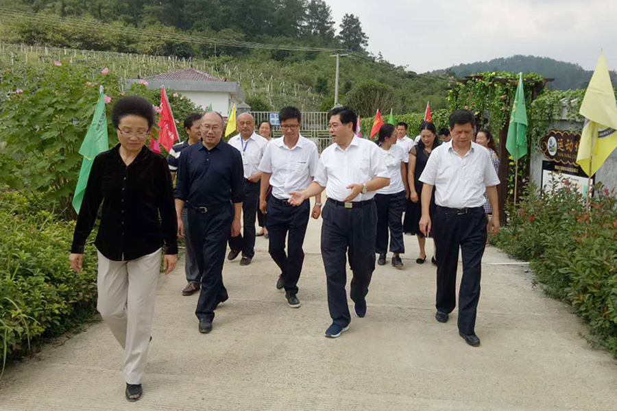 参观交流.jpg